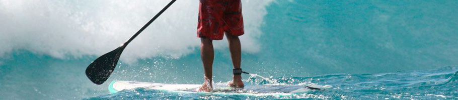 paddle surfing lessons